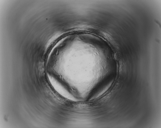 X0000103271164200809122129