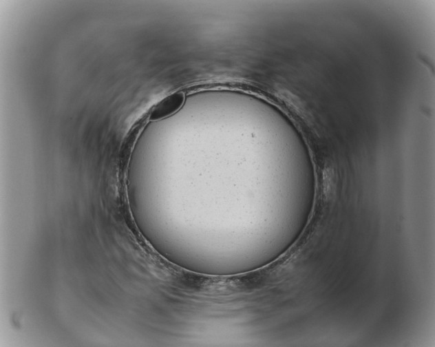 X0000103271165200809122129