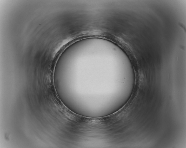 X0000103271166200809122129
