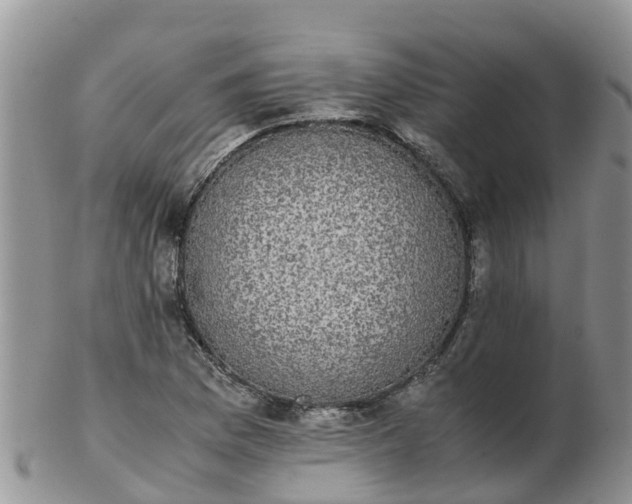 X0000103271169200809122129