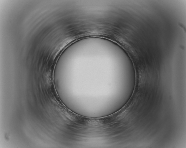 X0000103271170200809122129