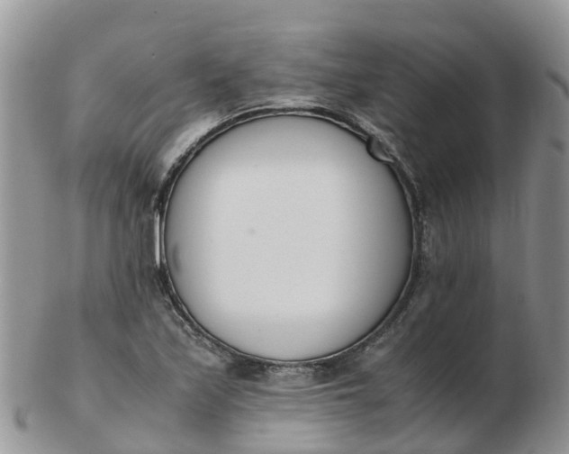 X0000103271171200809122129