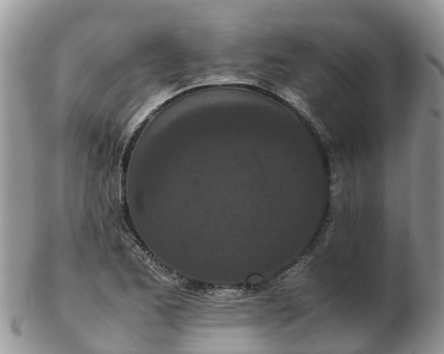X0000103271173200809122129