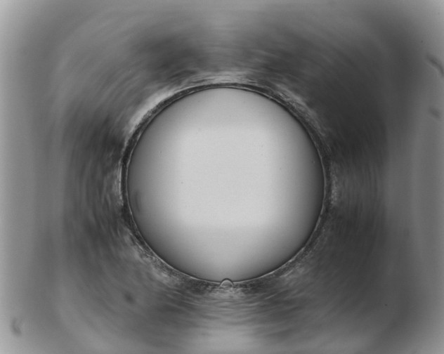 X0000103271174200809122129
