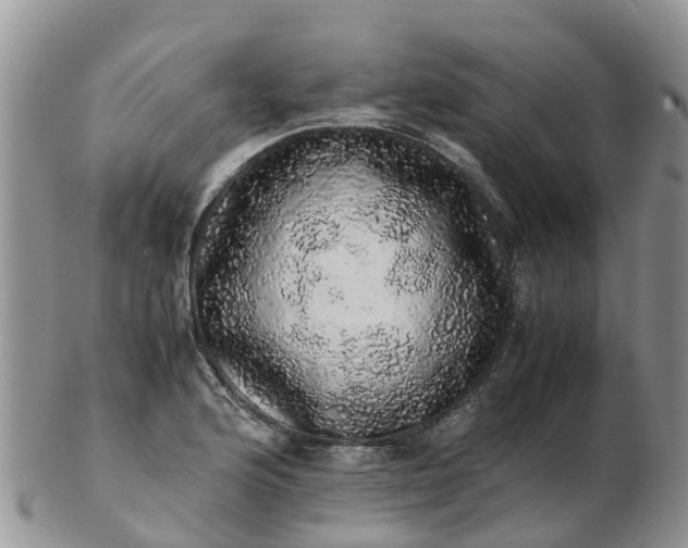 X0000103271176200809122129