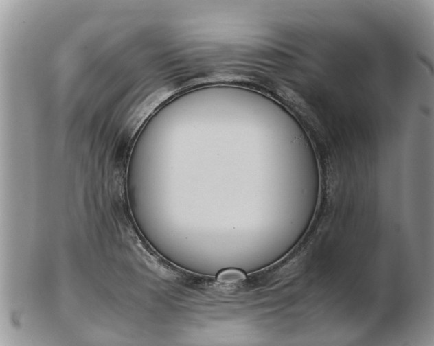 X0000103271177200809122129
