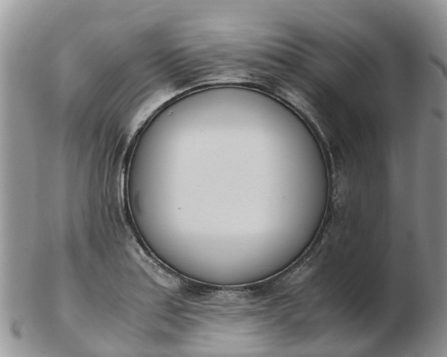 X0000103271179200809122129