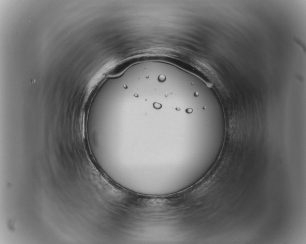 X0000103271180200809122129