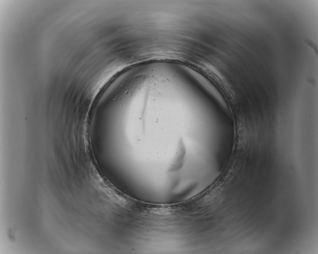 X0000103271182200809122129