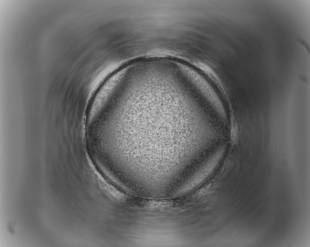 X0000103271183200809122129