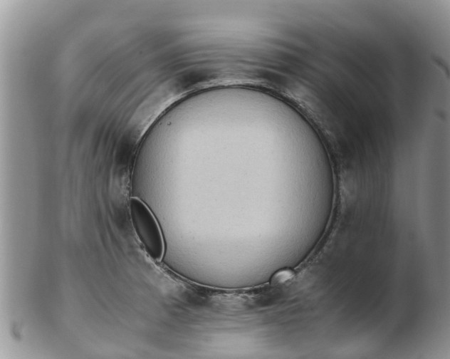 X0000103271185200809122129