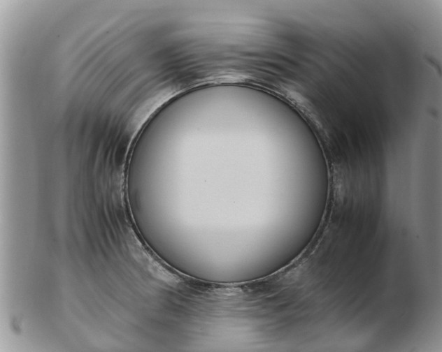 X0000103271186200809122129