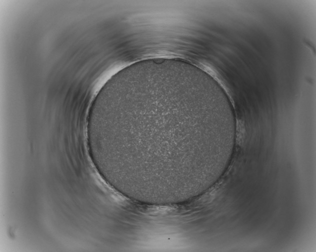 X0000103271187200809122129
