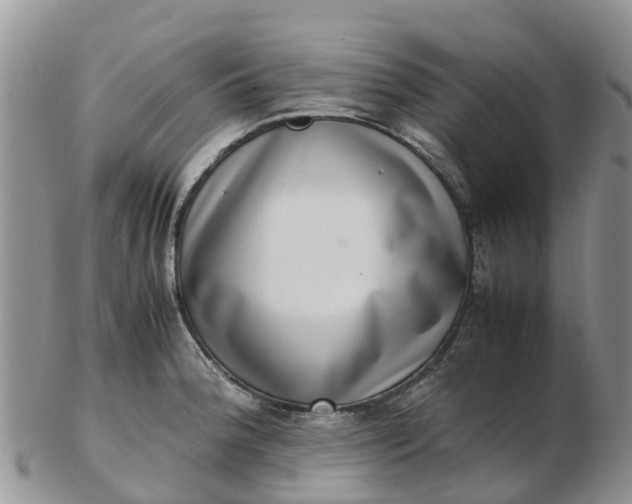 X0000103271188200809122129