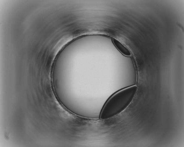 X0000103271189200809122129