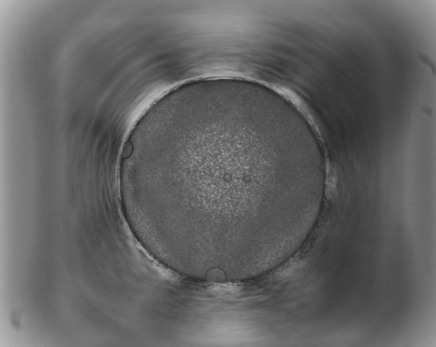 X0000103271191200809122129