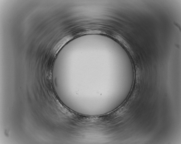 X0000103271193200809122129
