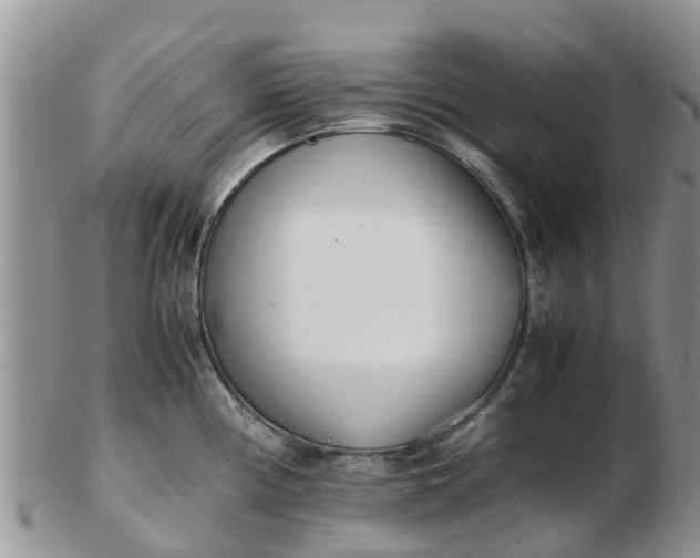 X0000103271194200809122129