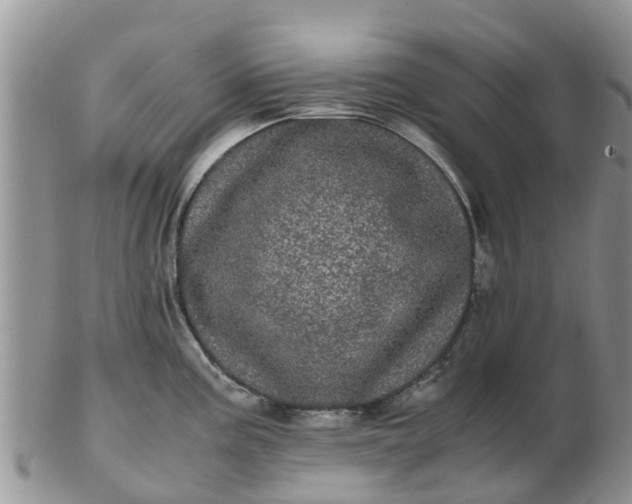 X0000103271195200809122129