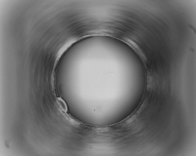 X0000103271196200809122129