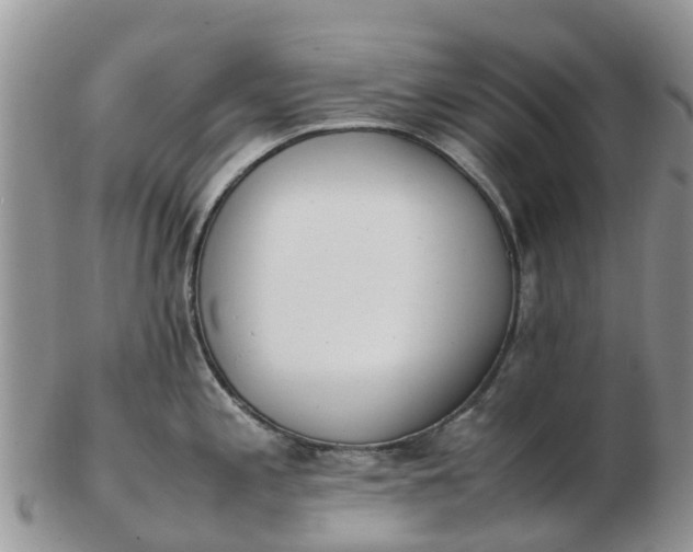 X0000103271197200809122129