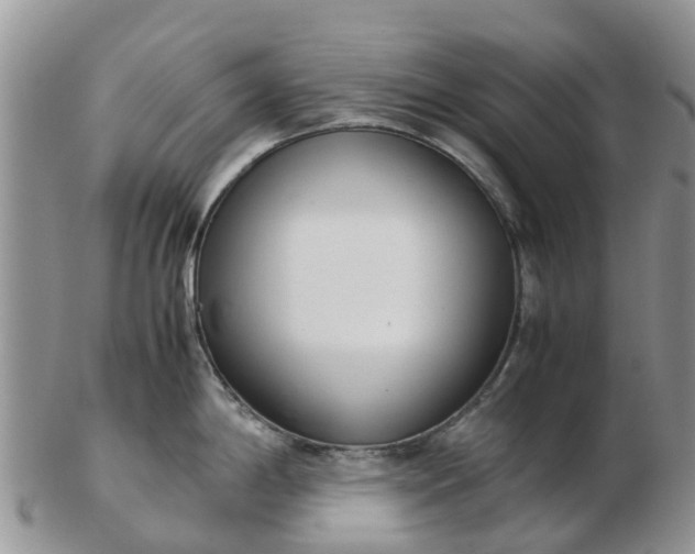 X0000103271198200809122129