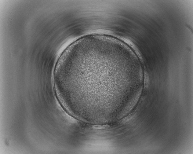 X0000103271199200809122129