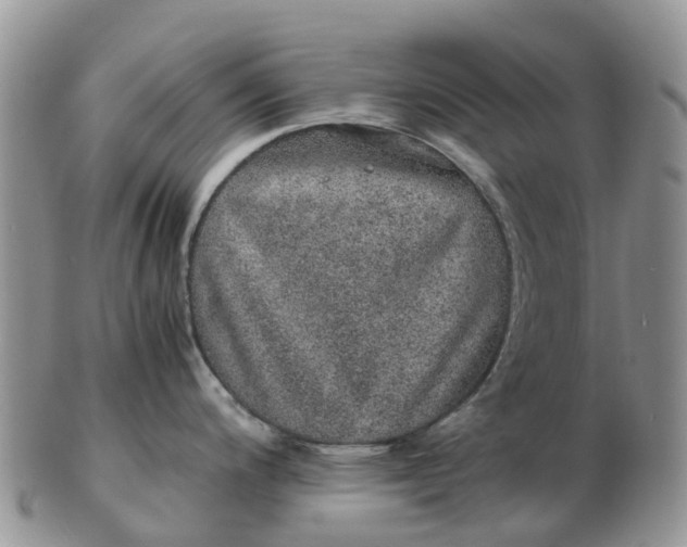 X0000103271200200809122129