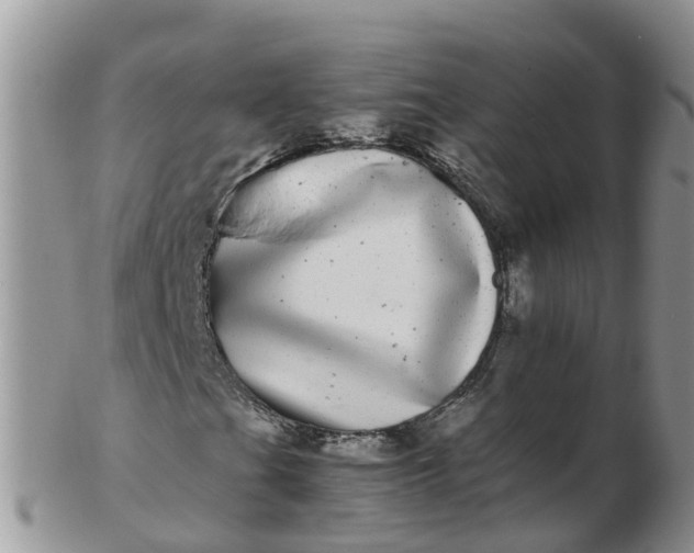 X0000103271201200809122128