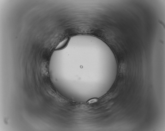 X0000103271202200809122128