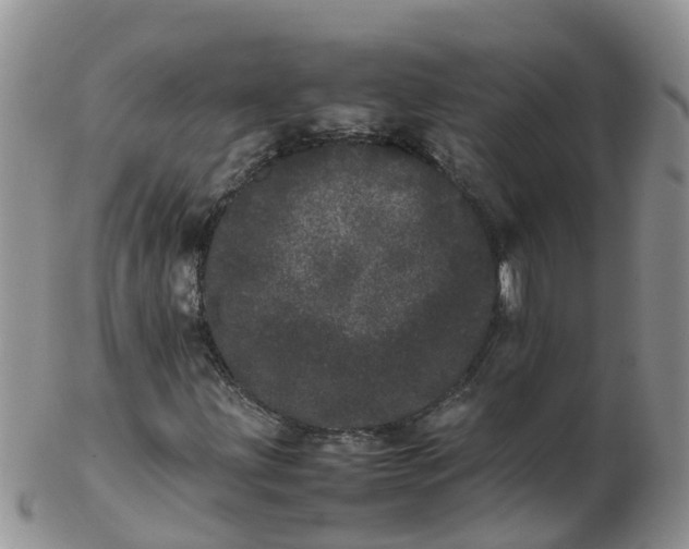 X0000103271203200809122128