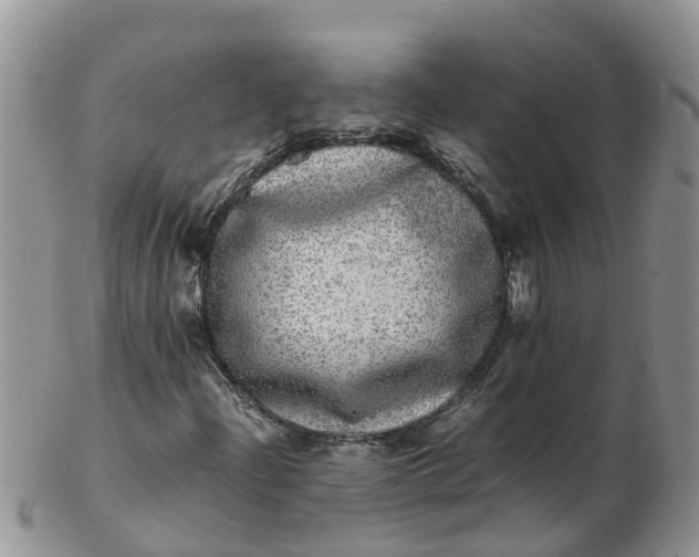 X0000103271204200809122128