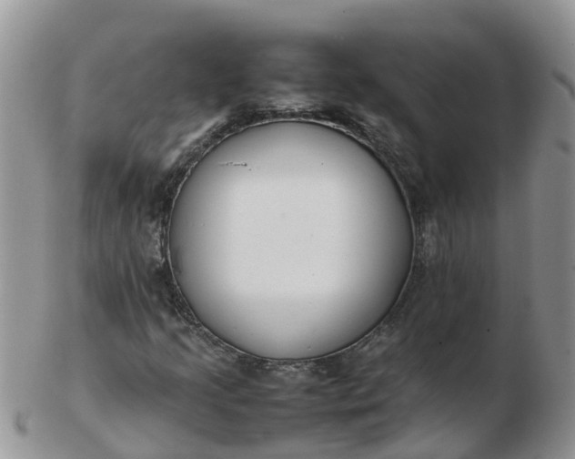 X0000103271205200809122128