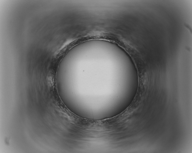 X0000103271206200809122128