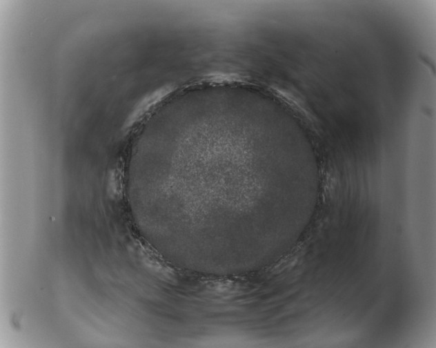 X0000103271207200809122128