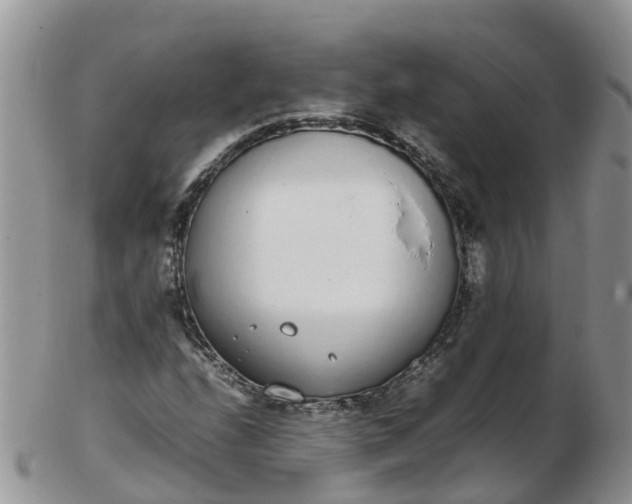 X0000103271208200809122128