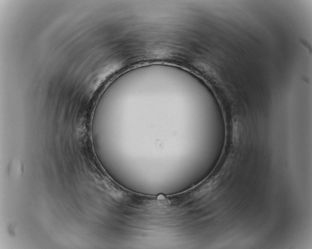 X0000103271210200809122128