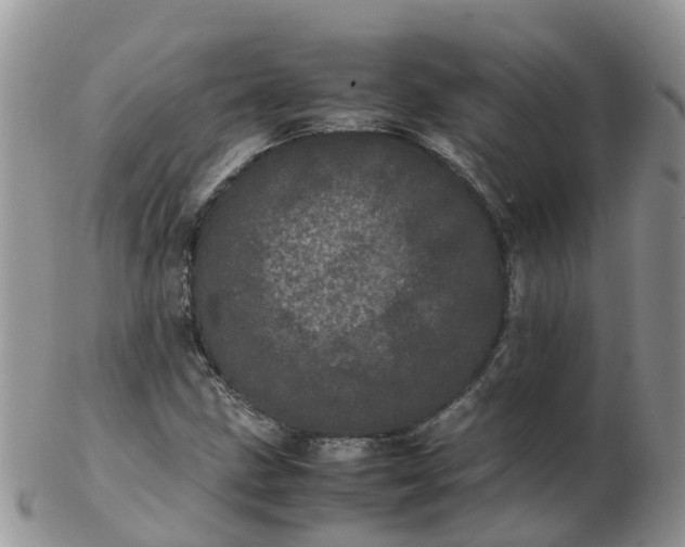 X0000103271211200809122128