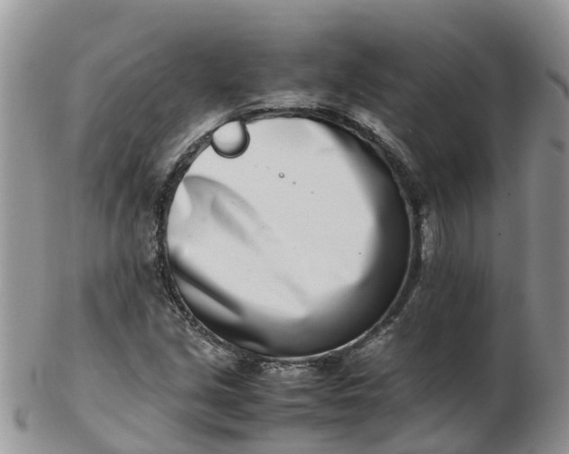 X0000103271213200809122128
