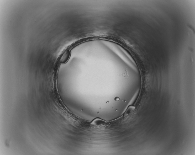 X0000103271214200809122128