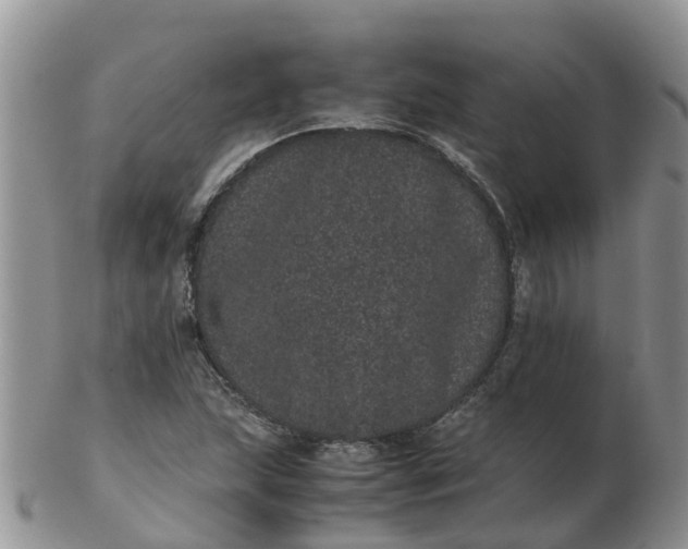 X0000103271215200809122128
