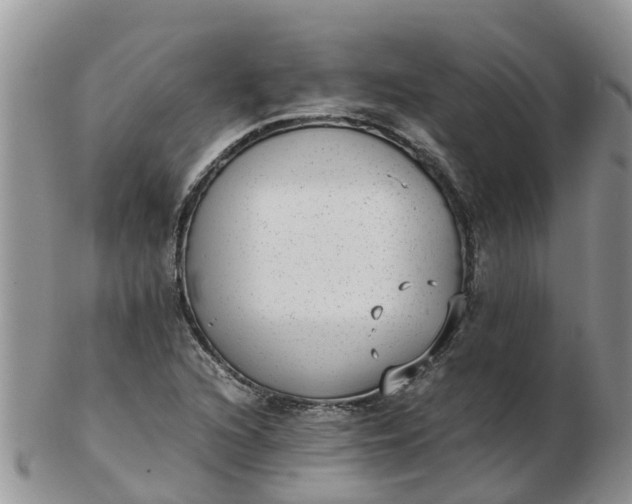 X0000103271216200809122128