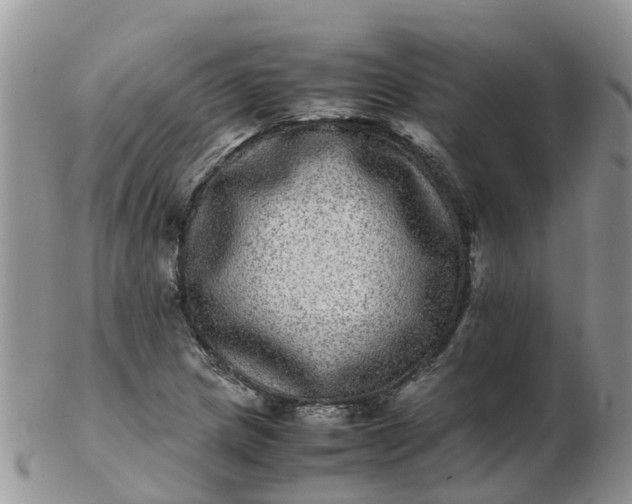 X0000103271217200809122128