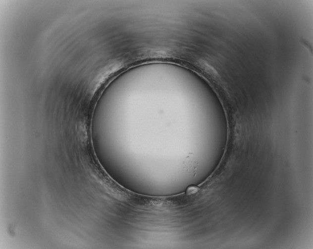 X0000103271218200809122128