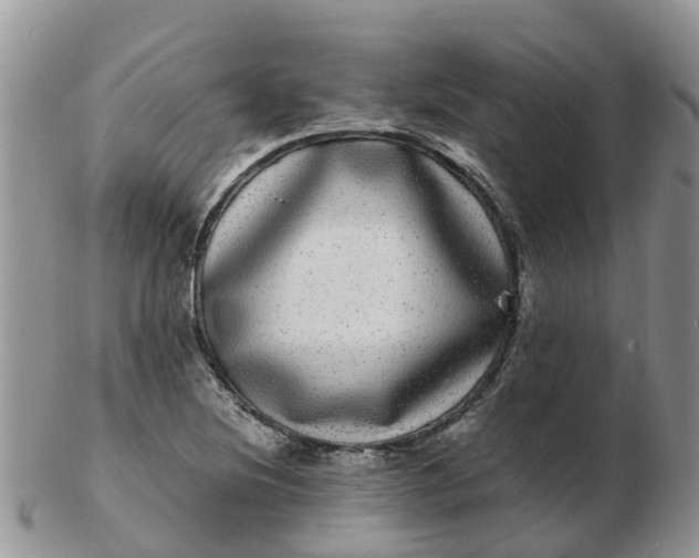 X0000103271220200809122128