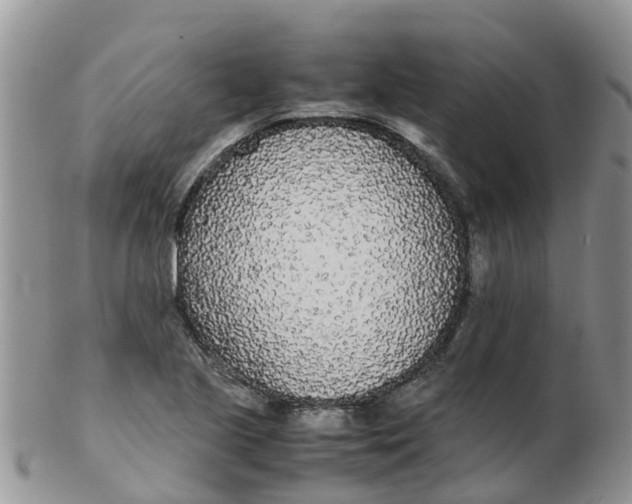 X0000103271221200809122128