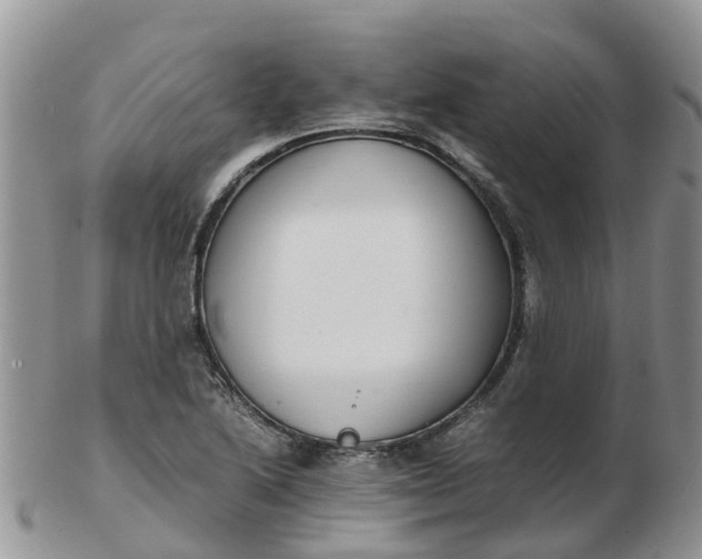 X0000103271222200809122128