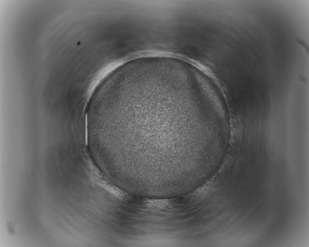 X0000103271223200809122128
