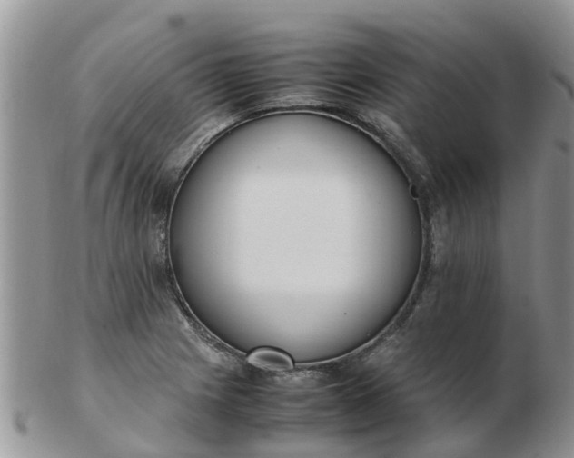 X0000103271225200809122128