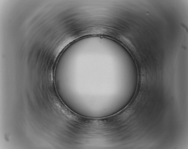 X0000103271226200809122128